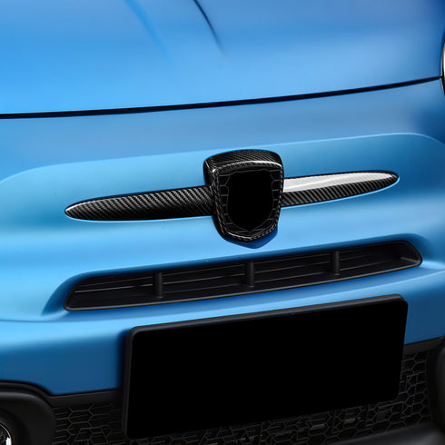 Carbon Fiber Front Logo Frame Trim Strip-4